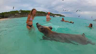 Bahamas