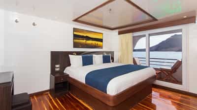 Cormorant Suite