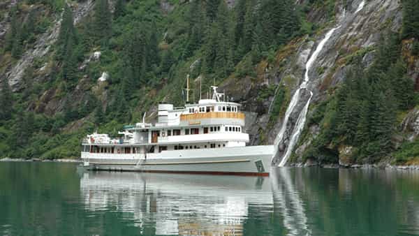 MIST COVE