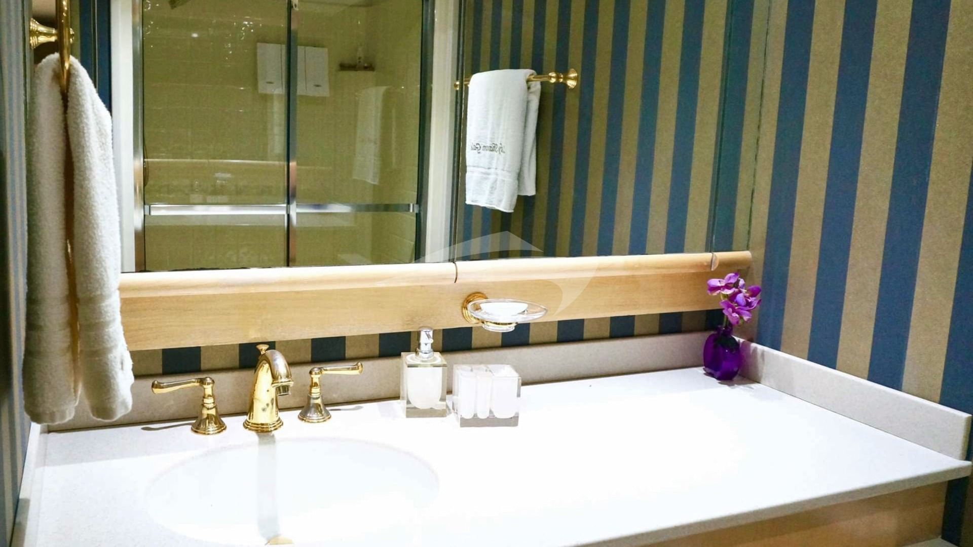 Sink area VIP bathroom