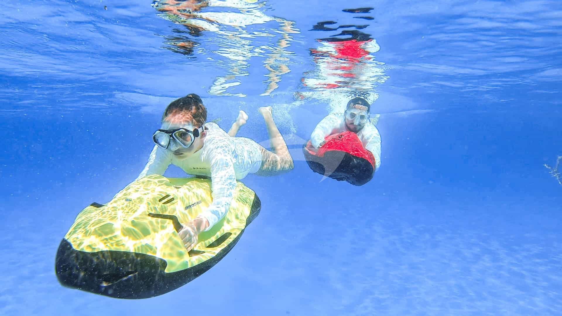 SeaBobs
