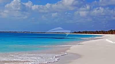 Visit unspoilt Barbuda with Akka