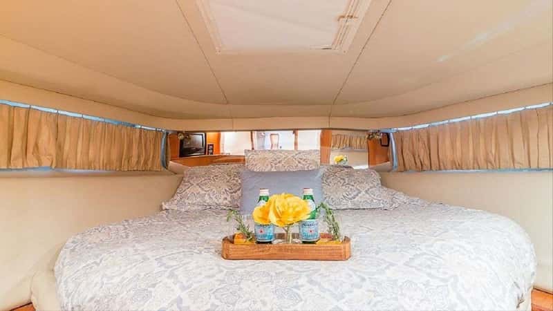 DANCING QUEEN 16m motor yacht charter, photo 5