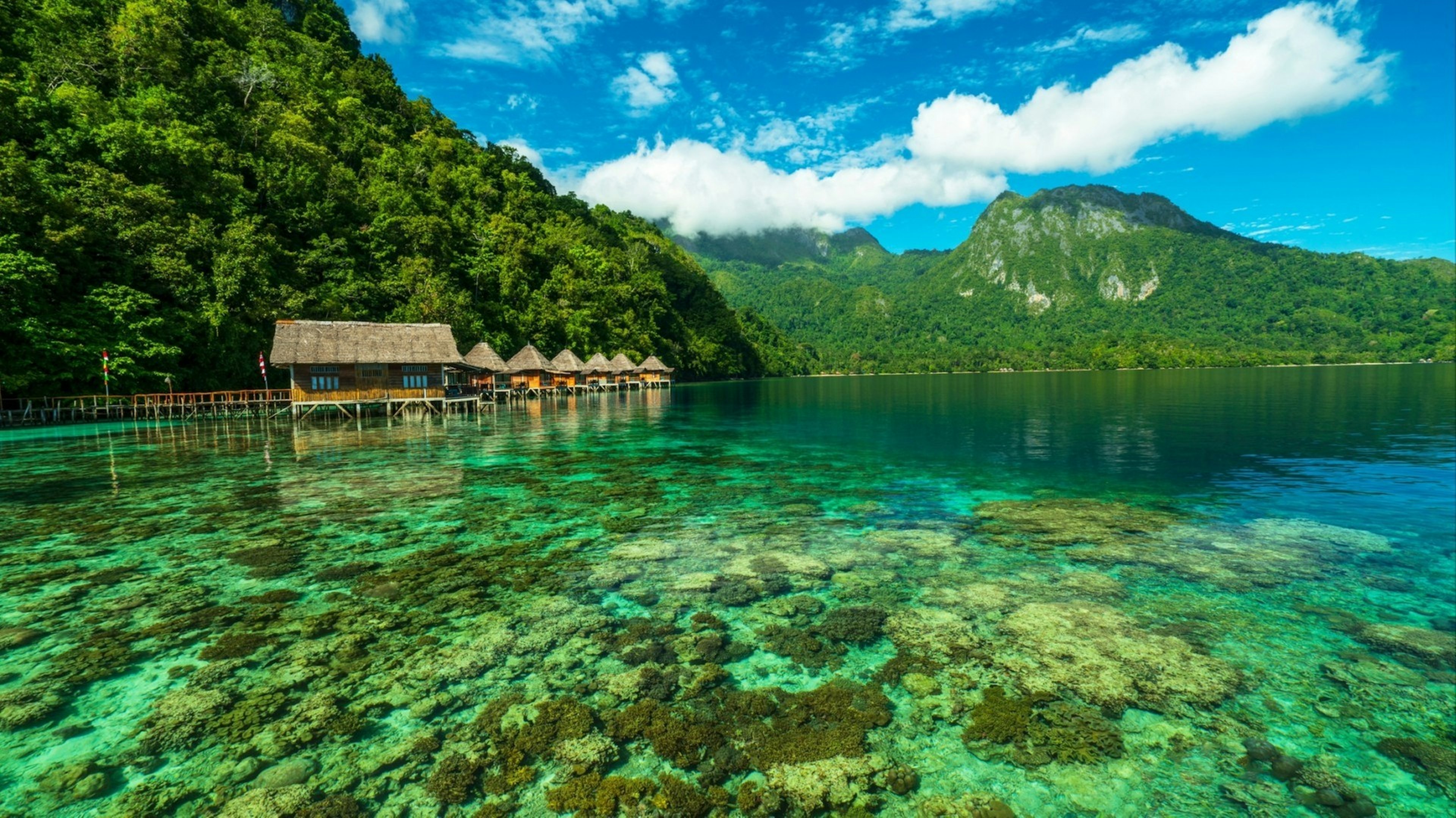 Beautiful clean ocean water in Ora Beach Resort, Maluku Islands