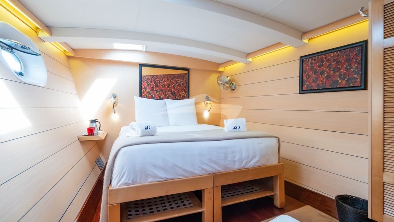 Guest double stateroom convertible x 4
