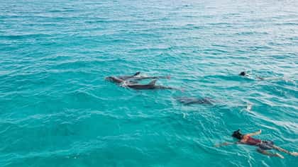 SCUBA DOO 15m sailing yacht charter, photo 12
