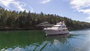 Yacht Charter SERENDIPITY