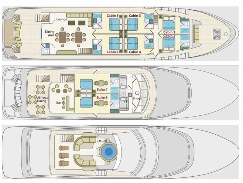 GALAPAGOS ANGEL layout