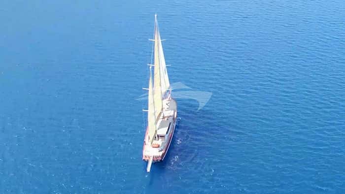 DRAGON FLY 39m sailing yacht charter, photo 2