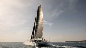 MAGIC CAT - Exterior