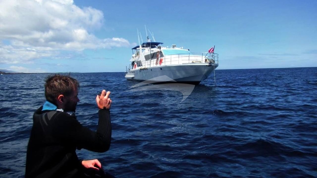 10978643_914942615205825_1346043240919191033_n