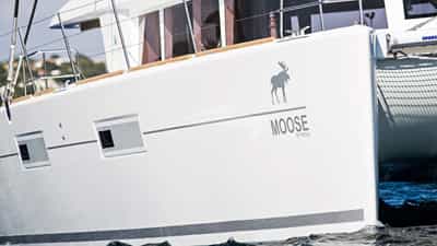 Moose of Poole...