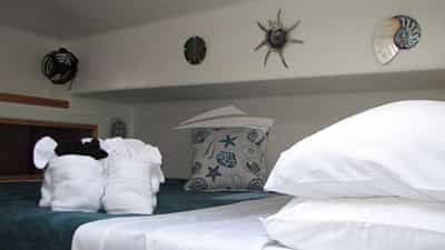 Guest Cabin