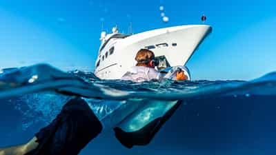 SeaBobs