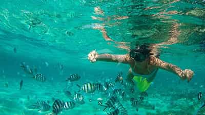 Snorkeling