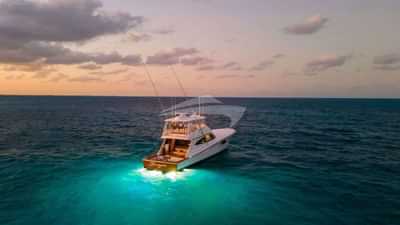 Night Underwater Lights