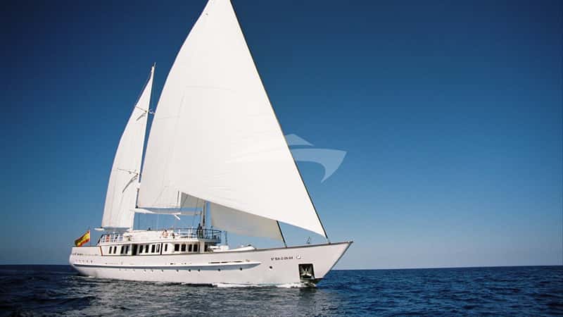 MATA MUA 39m sailing yacht charter, photo 3
