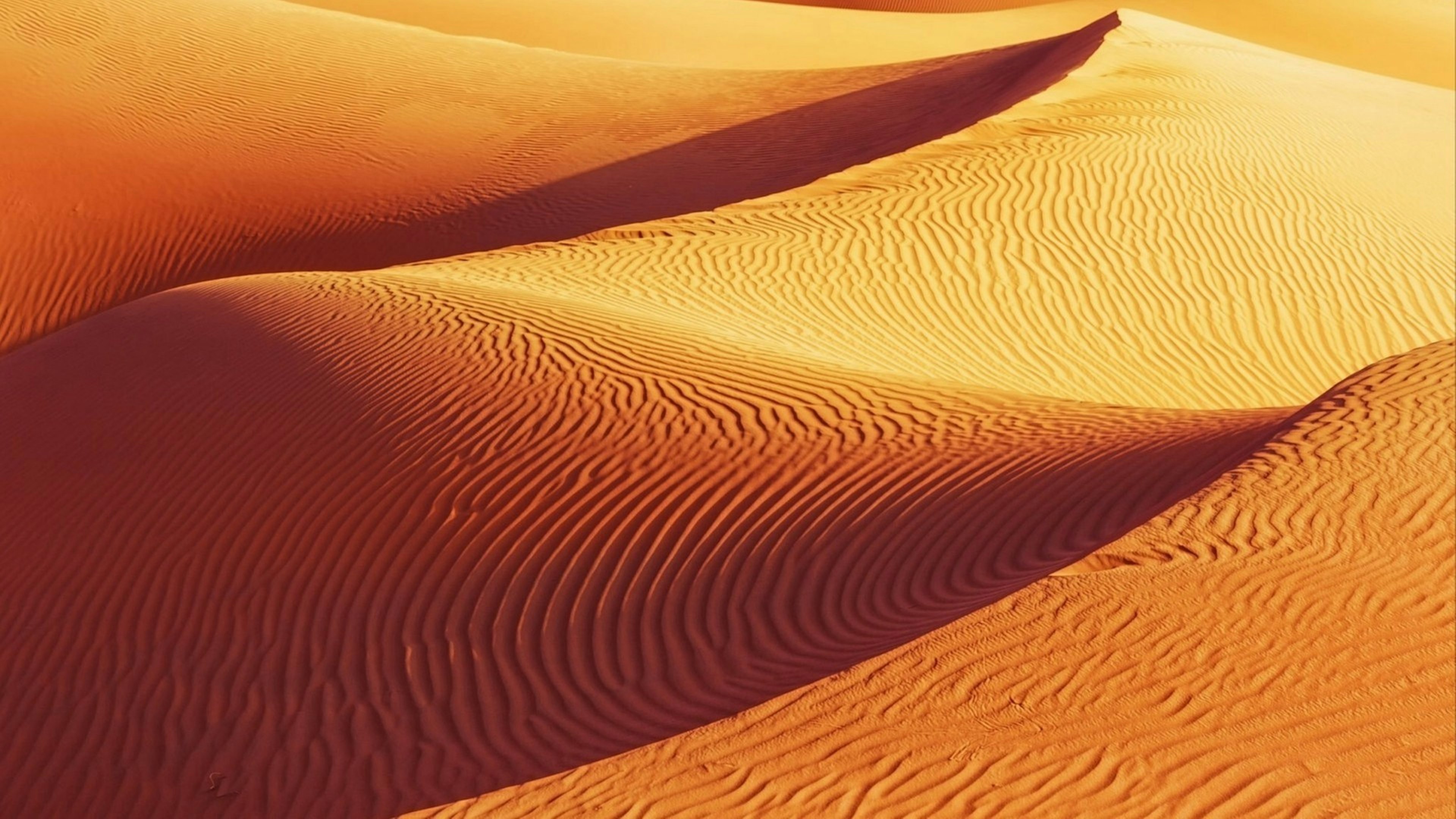 Sand dunes in the desert of Kuwait