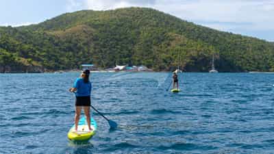 Paddle board