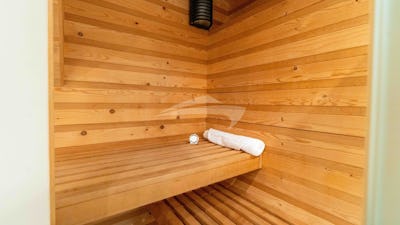 Sauna in Twin Stateroom