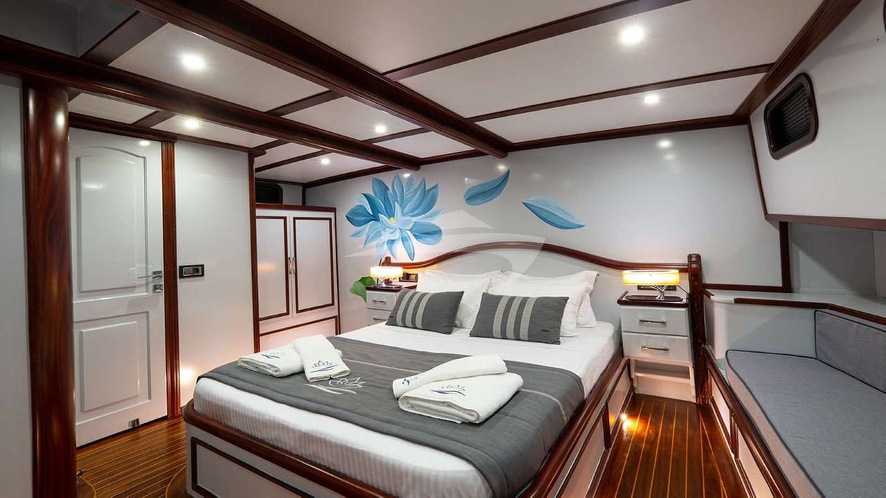 Motor Sailor Lotus Guest Cabin