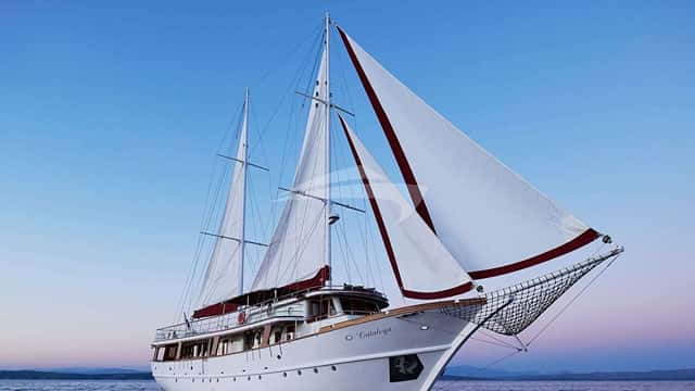 CATALEYA 35m sailing yacht for charter