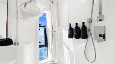 Guest head and shower