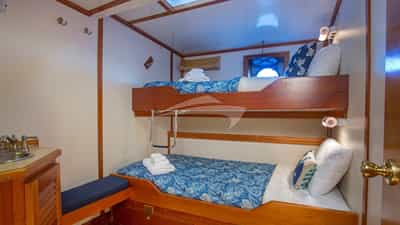 Guest Cabin