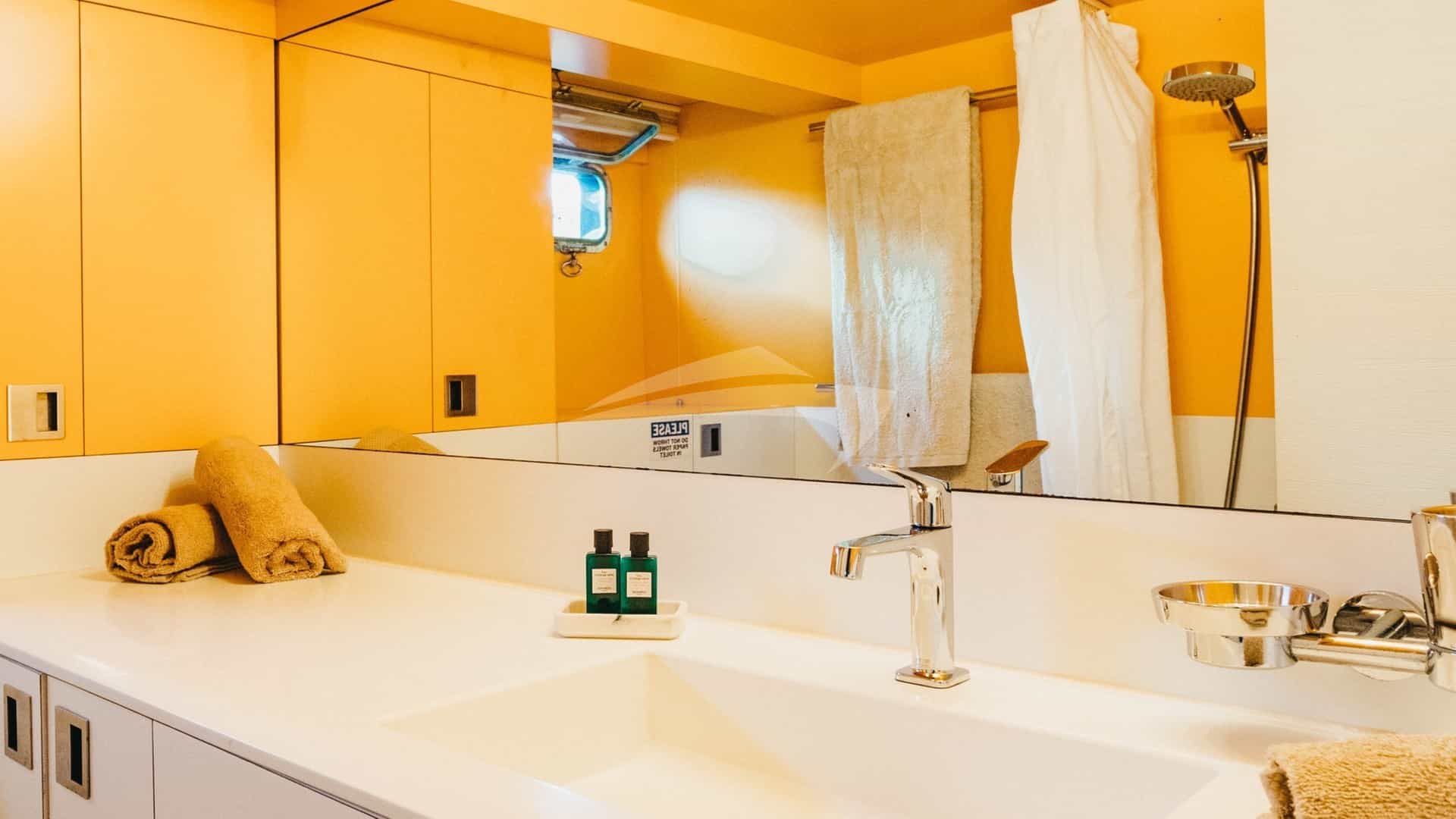 Master cabin bathroom