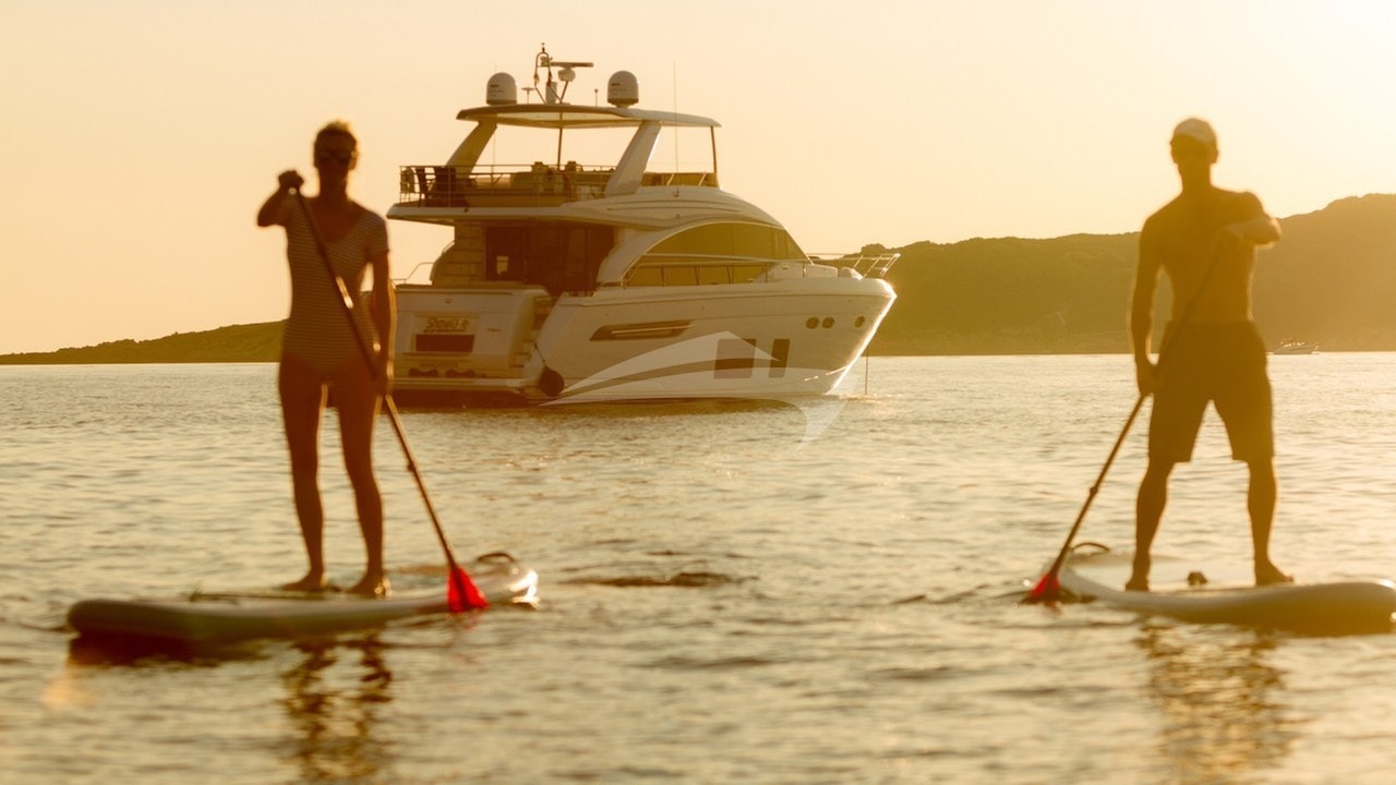 Paddle Board