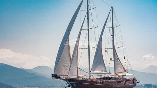 LYCIAN QUEEN