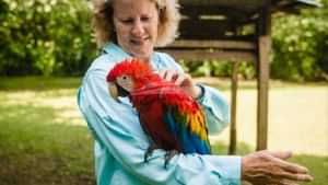 Yacht Charter AMAZONAS