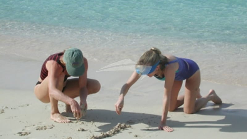 Find your inner child