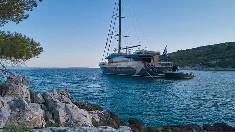 RARA AVIS 37m sailing yacht charter