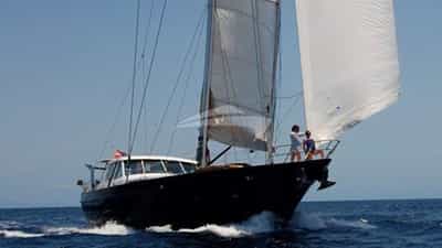 Saling