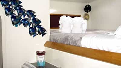 Guest Cabin