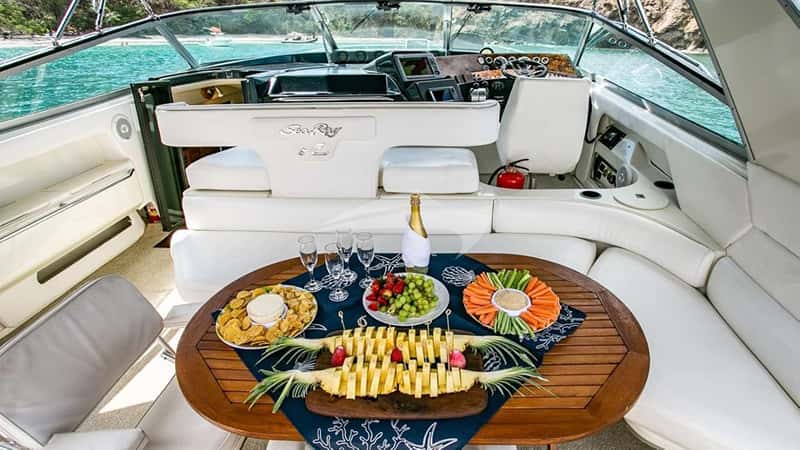 ATENEA 16m motor yacht charter, photo 2