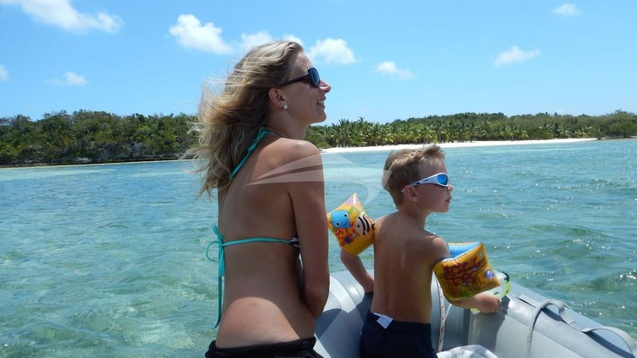 looking for Sea Turtles