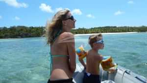 looking for Sea Turtles