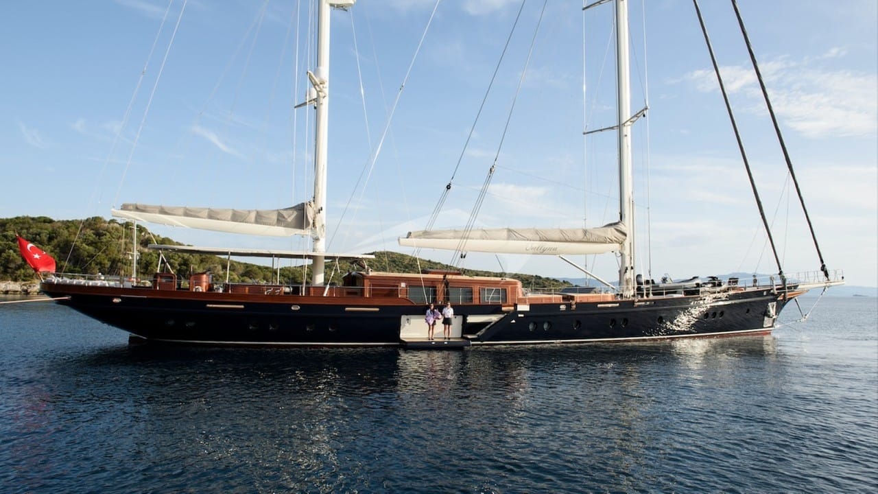 Profile at anchor