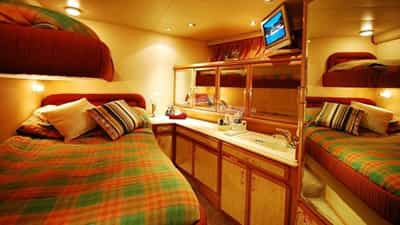 Guest Cabin