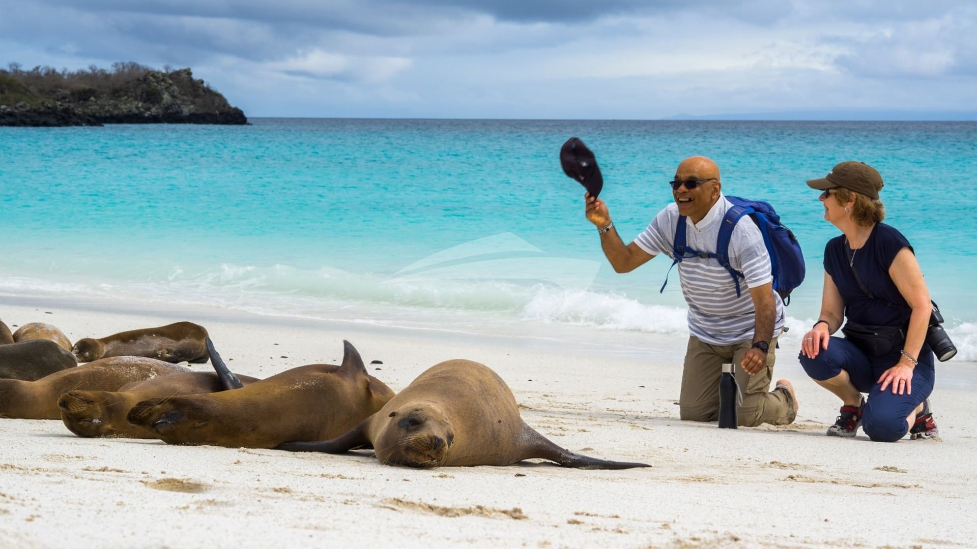 Expedition and Galapagos sea lions