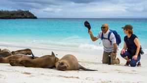 Expedition and Galapagos sea lions