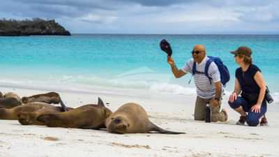 Expedition and Galapagos sea lions