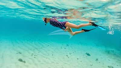 Snorkeling in Crystal Clear Waters