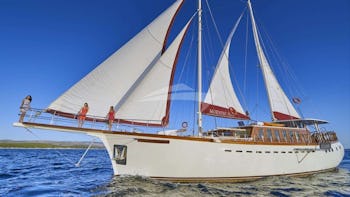 MORNING STAR
