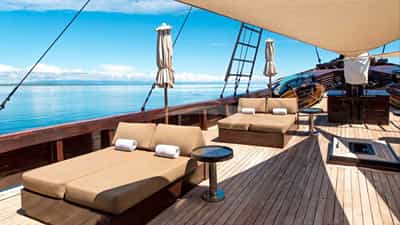 Sun Loungers