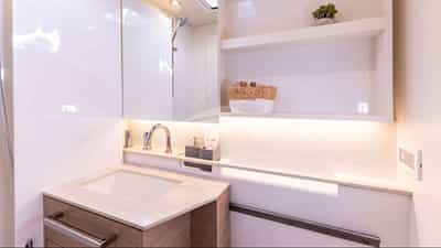 Guest head and shower