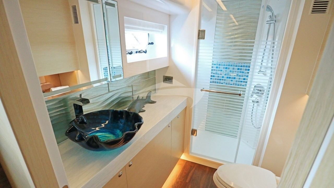 Master head and shower