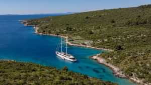 ANIMA MARIS Anchored